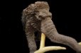 画像1: Woolly Mammoth (1)