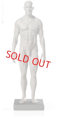 Male 1:6 Proportional fig v.2- proportion & surface form アナトミーフィギュア 男性
