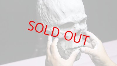 画像5: Human Head Anatomy & Sculpture