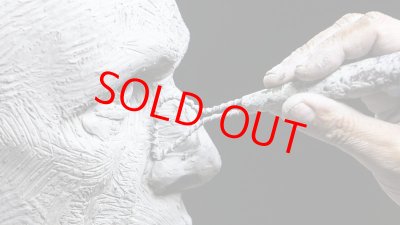 画像7: Human Head Anatomy & Sculpture