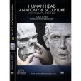 画像1: Human Head Anatomy & Sculpture (1)
