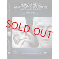 Human Head Anatomy & Sculpture