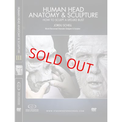 画像1: Human Head Anatomy & Sculpture