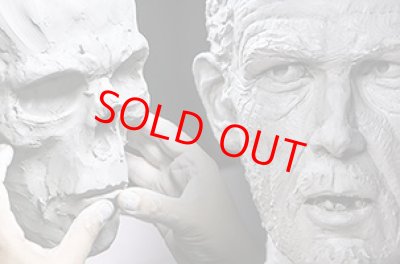 画像2: Human Head Anatomy & Sculpture