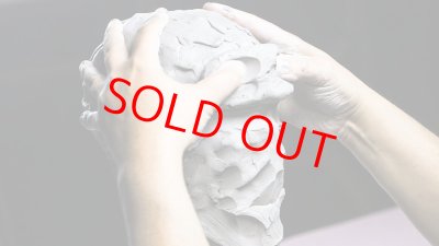 画像4: Human Head Anatomy & Sculpture