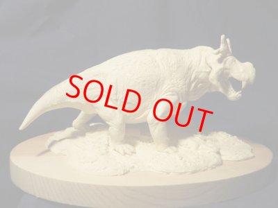 画像7: Estemmenosuchus