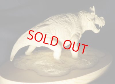 画像5: Estemmenosuchus