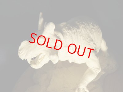 画像3: Estemmenosuchus