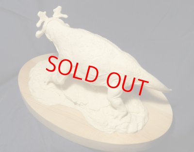 画像9: Estemmenosuchus