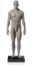 画像1: Male 1:6 Proportional fig v.2- proportion & surface form アナトミーフィギュア 男性