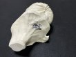 画像5: THE MAN WHO LAUGHS BUST