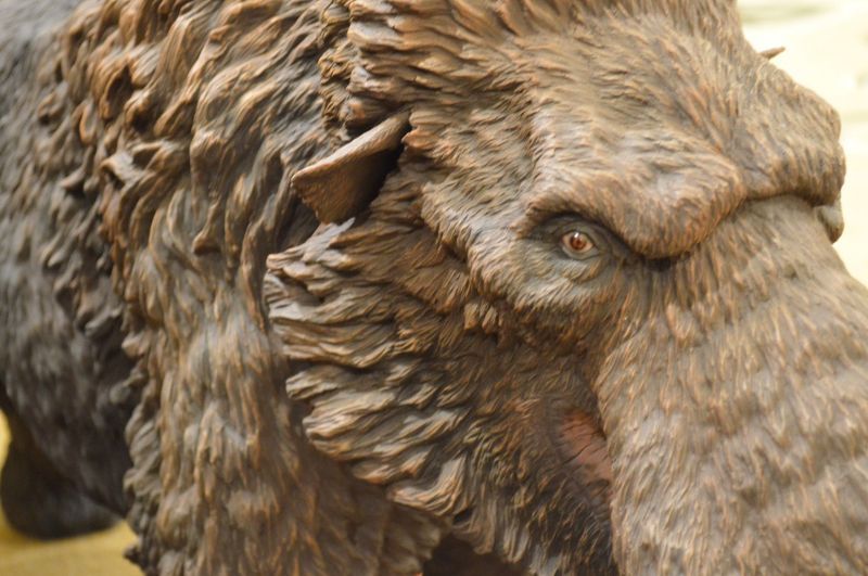 画像3: Woolly Mammoth